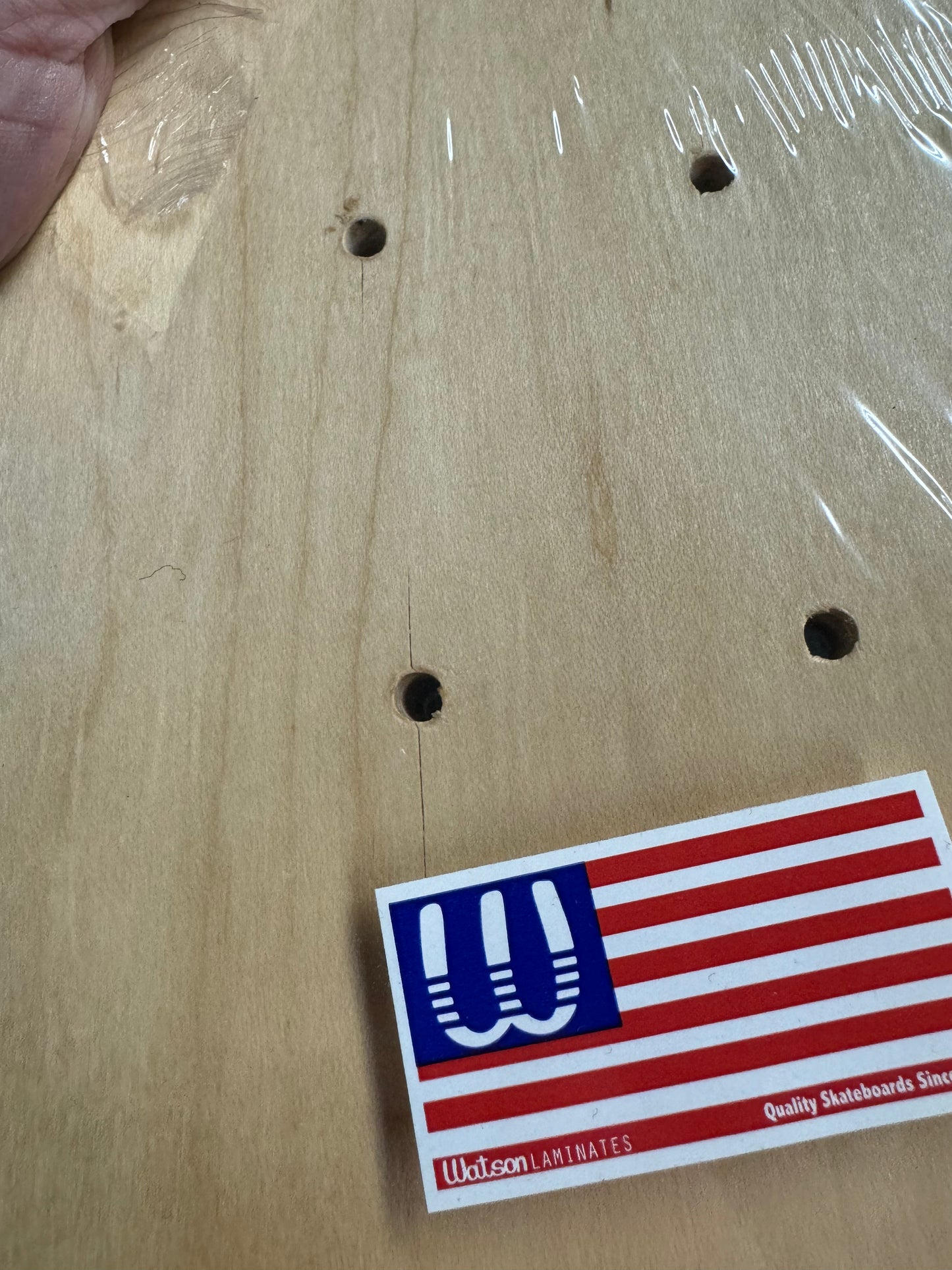 Dogtown Suicidal Skates Possessed to skate reissue Skateboard Deck *Blem* 9”